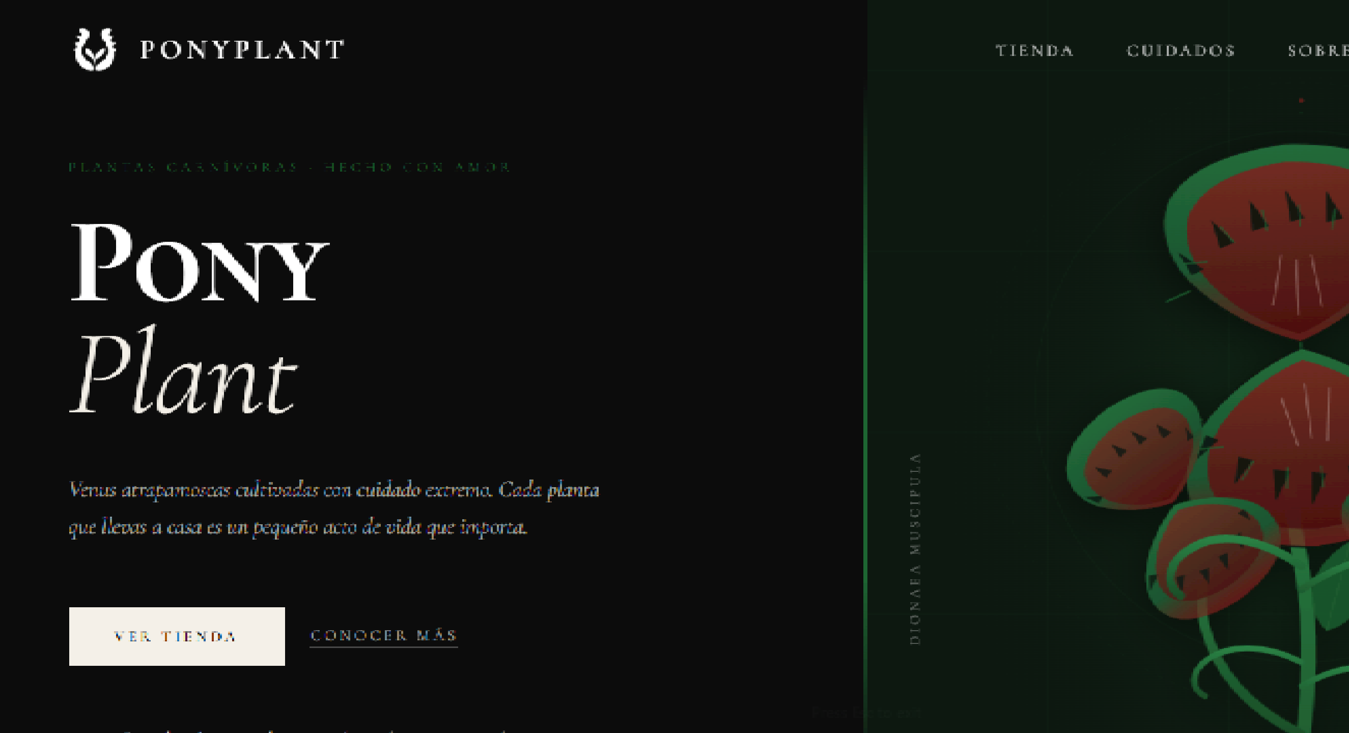 Step 4 - Implementation and delivery